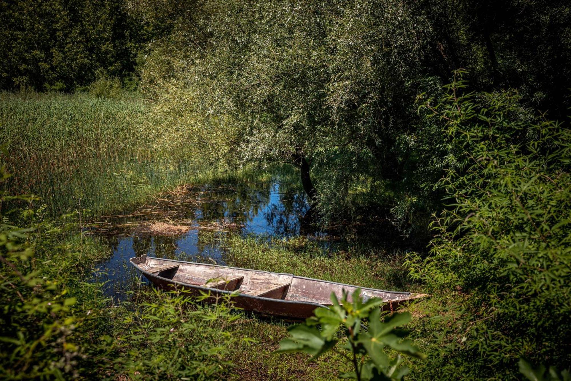 Boljesestre Lake Retreat Golubovci Eksteriør bilde